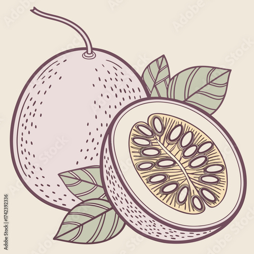 Illustration of passion fruit with leaves and seeds on light beige background
