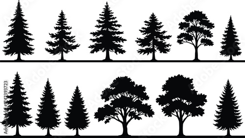 PrintSilhouette of pine and deciduous trees, black forest tree line collection, natural woodland illustration, landscape decoration, isolated vector design, nature art