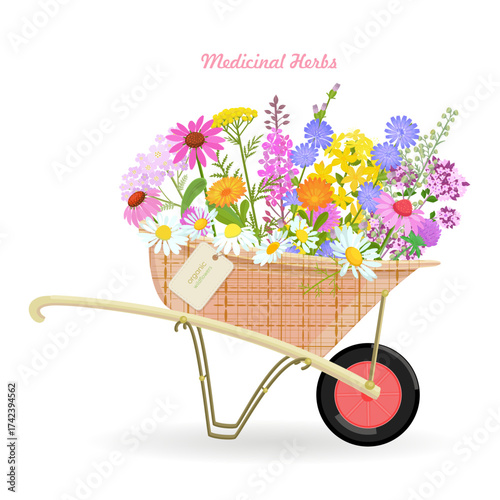 banner with a wheelbarrow of blooming medicinal flowers. card with pharmaceuticals wildflowers in a cart with hang tag. fragrance herbal blooms in barrow with craft paper tag label