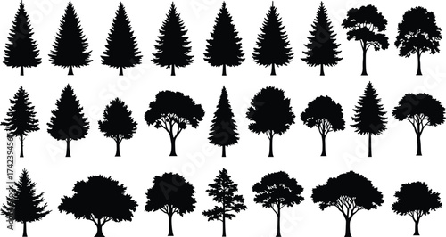 PrintSilhouette trees collection, coniferous and deciduous forest shapes, natural woodland illustration, landscape design elements, black tree outlines, vector art