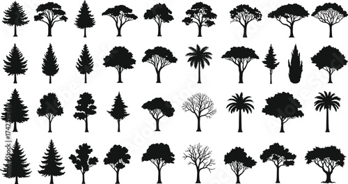 PrintSilhouette trees, black vector icons, forest tree collection, pine, palm, oak, cypress, landscape illustration, seasonal nature design, environment decoration