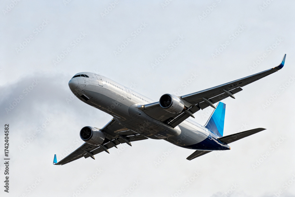 Obraz premium Passenger airplane in flight