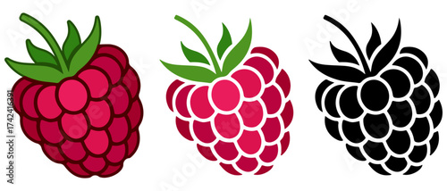 Raspberry Fruits Vector Icons Set on White Background – Simple Outline, Solid, and Flat Style Berries Illustration, Sweet Ripe Pink Fruit Symbol Collection