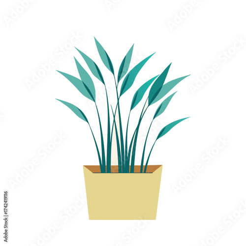 plant in a pot