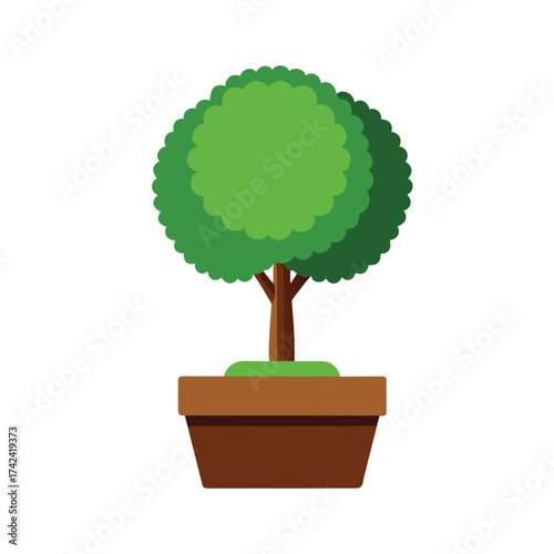 green tree in a pot