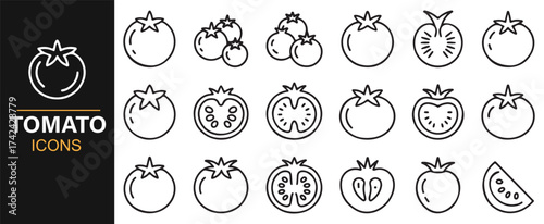 Collection of Tomato Illustrations with Detailed Views for Food and Culinary Themes