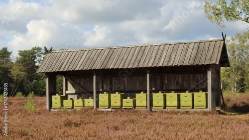 Traditionelles Bienenhaus mit modernen Bienenstöcken in der Lüneburger Heide