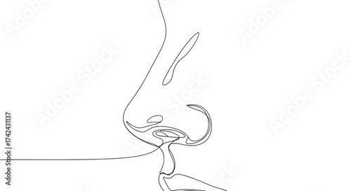 Continuous line drawing of a woman's profile and nose shape  
