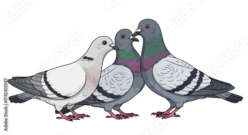Animated illustration showcasing three pigeons engaging in curious social interaction on a plain