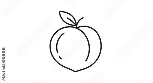 Minimalist peach illustration with clean lines offers a fresh fruit design perfect for summer