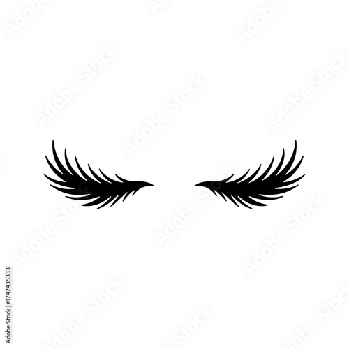 A pair of dramatic, winged false eyelashes are displayed against a white background, commonly used to enhance the eyes.
