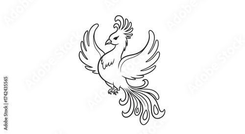 Elegant phoenix illustration with intricate line work against a white backdrop