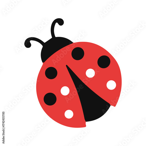 The flat vector illustration shows a red ladybug with a black head, it also has spots on its back and black details.