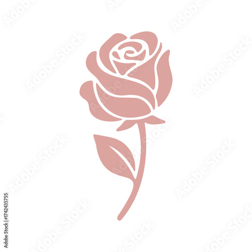 Illustration shows a single pink rose with a long stem and one leaf on a white backdrop in a simple vector style.