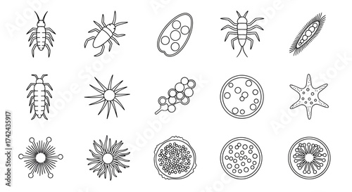 Diversity of microscopic organisms illustrated as line art: Bacteria, viruses and other pathogens
