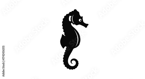 Elegant silhouette of a seahorse against a stark white backdrop, showcasing marine wildlife