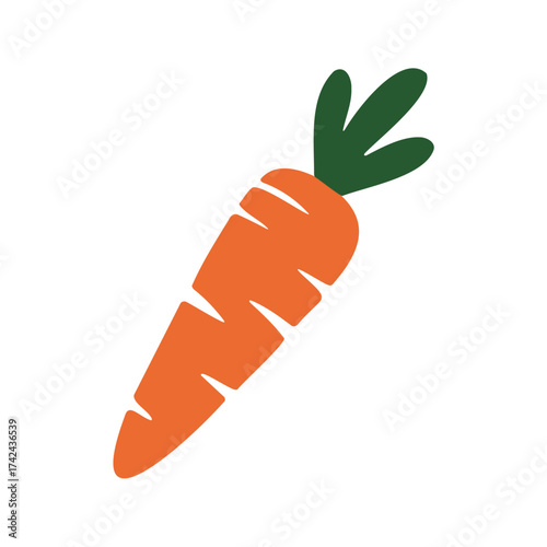 This vector illustration shows an orange carrot with visible segments and green leaves on top against a white backdrop.
