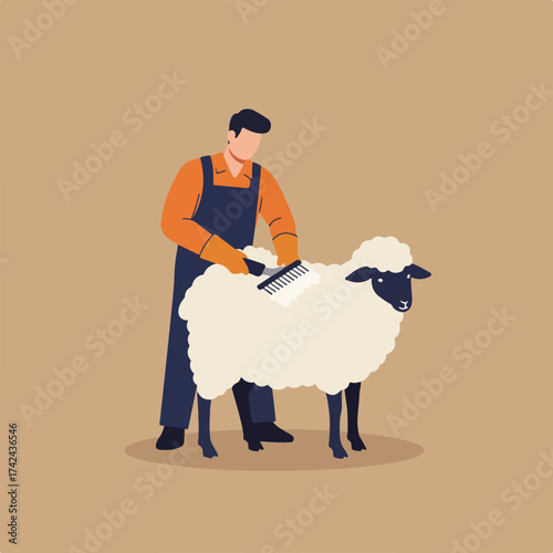 A person combs the wool of a sheep with a brush on a plain background