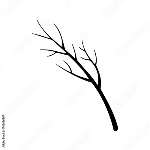 This illustration shows a leafless branch with smaller stems protruding from its main axis, silhouetted in black against a white backdrop.