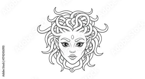 Serpentine Enchantress: A Stylized Line Art Illustration of a Mythical Woman with Snakes for Hair