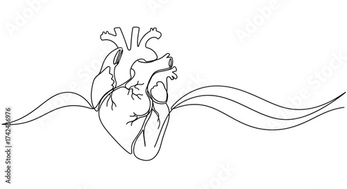 Heartbeat rhythm illustrated by a continuous line drawing for medical concepts