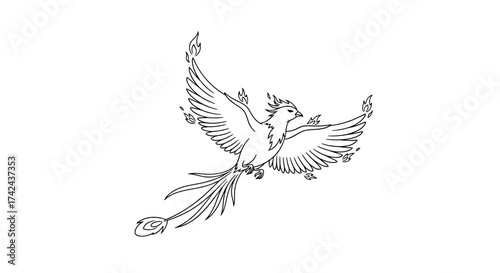 Stylized phoenix line art with fiery details soaring against a pristine white backdrop