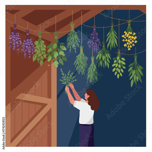 Woman hangs bundles of dried herbs and flowers from a rustic wooden structure