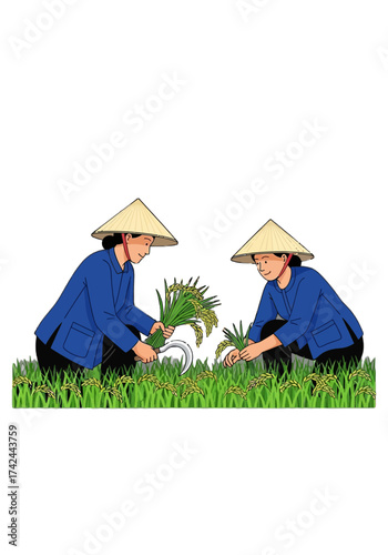 Flat Vector Illustration of Asian Farmers Harvesting Rice