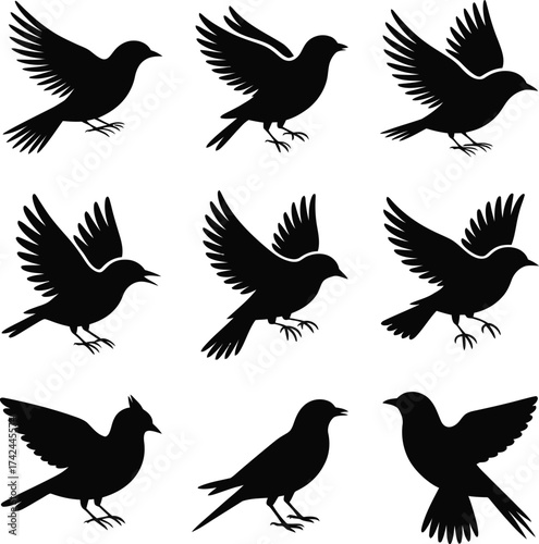 Bird Silhouette Grid – Nine Black Vector Poses Depicting Flight, Perching, and Motion – Minimalist Nature Illustration for Design, Decor, and Education