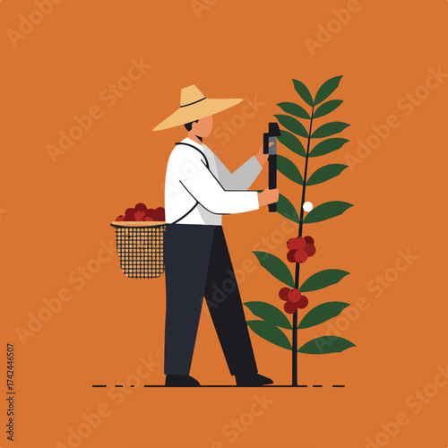 Person wearing a hat harvests red berries from a plant, holding a basket