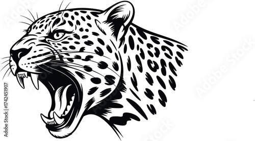 Roaring leopard head, black and white animal sketch, fierce jungle predator, wild feline illustration, aggressive wildlife art, intense big cat drawing
