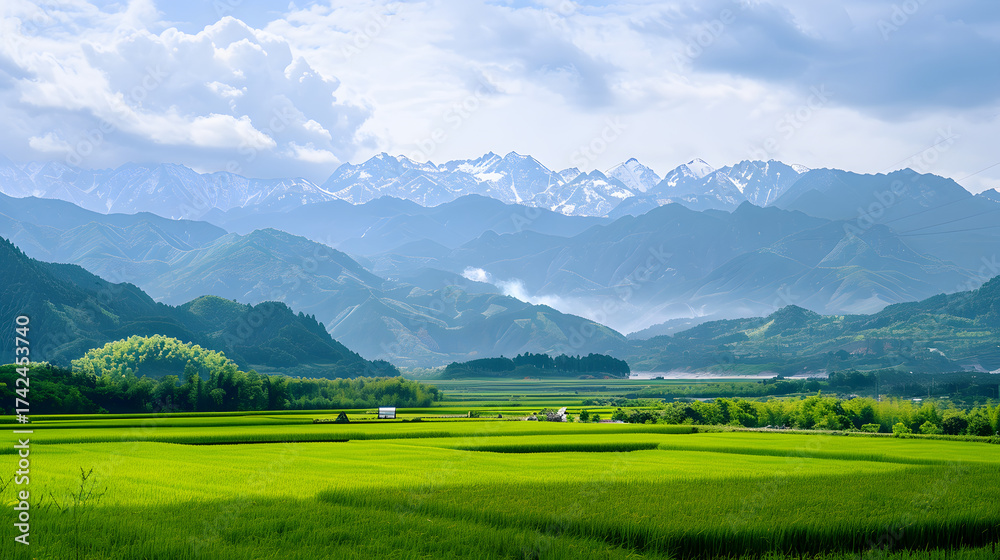 Obraz premium Rice Fields and Snowy Mountain Range