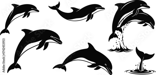 Black and white dolphin silhouettes, jumping, swimming, diving, tail splash, marine life illustration, ocean wildlife, aquatic animal design, vector art