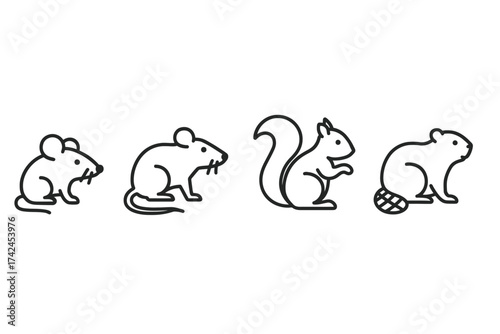 Illustration of mouse, rat, squirrel, and beaver silhouettes in line art style