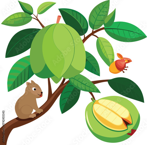 Guava tree squirrel eating vector illustration 2