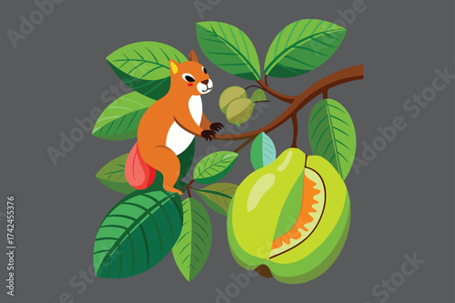 Guava tree squirrel eating vector illustration