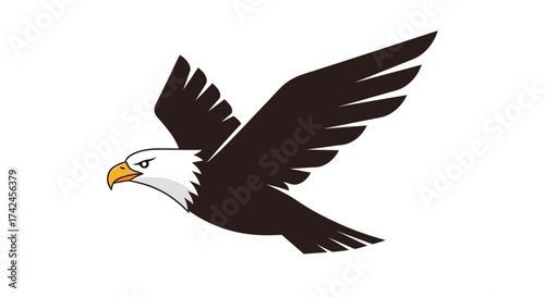 Stylized soaring eagle illustration with distinct black and white plumage emblem