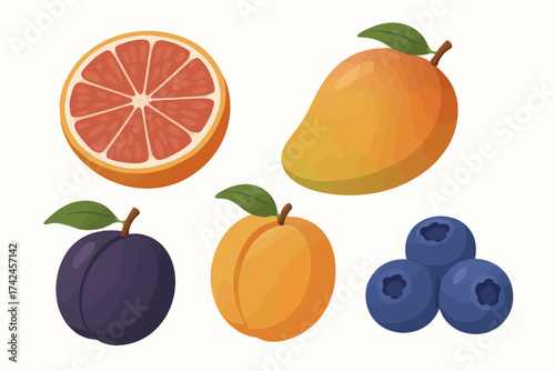 Colorful assorted fruits with grapefruit, mango, plum, apricot, and blueberries illustration