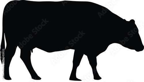 Black cow silhouette isolated on white background, simple livestock vector illustration, farm animal outline, dairy cattle symbol for agriculture and design