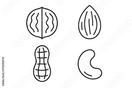 Outline illustrations of peanut, walnut, almond, and cashew