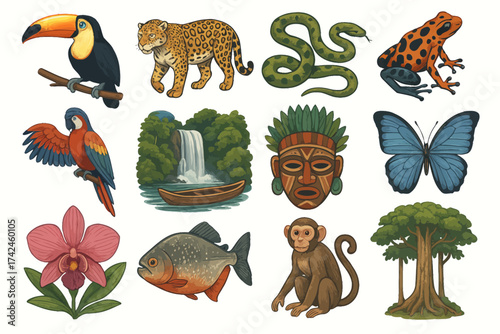 Amazon rainforest fauna and flora illustrations: toucan, jaguar, anaconda, and more