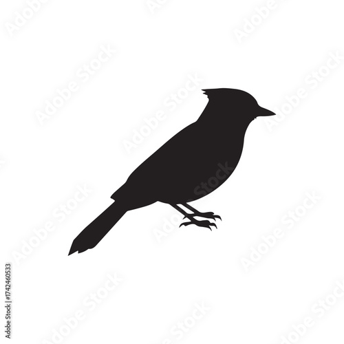 Blue jay bird silhouette vector flat illustration design on white background