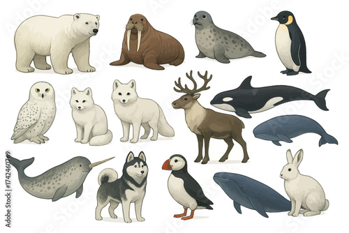 Collection of arctic animals: polar bear, walrus, seal, penguin, owl, fox, reindeer, whale