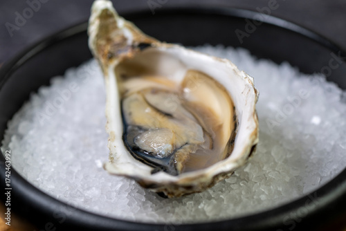 Open oyster