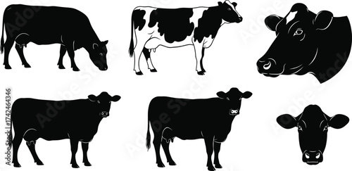 Cow Silhouette Vector Set, Black and White Farm Animal Illustrations, Includes Cow Faces, Dairy Cattle, 