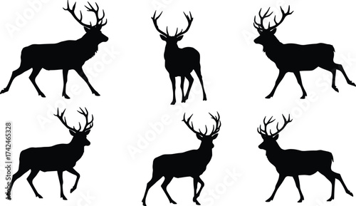 Deer stag silhouette set, wild animal antler poses collection, standing walking grazing wildlife illustration, hunting forest nature design vector artDeer stag silhouette set, 