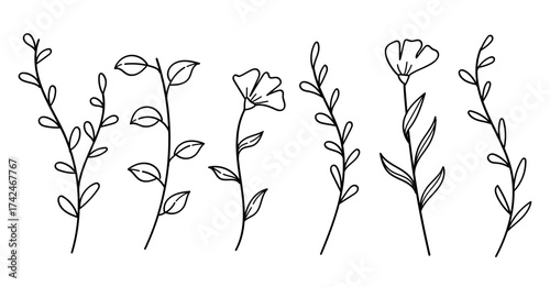 Minimalist botanical abstract wildflower line art drawing collection. Vector illustration.