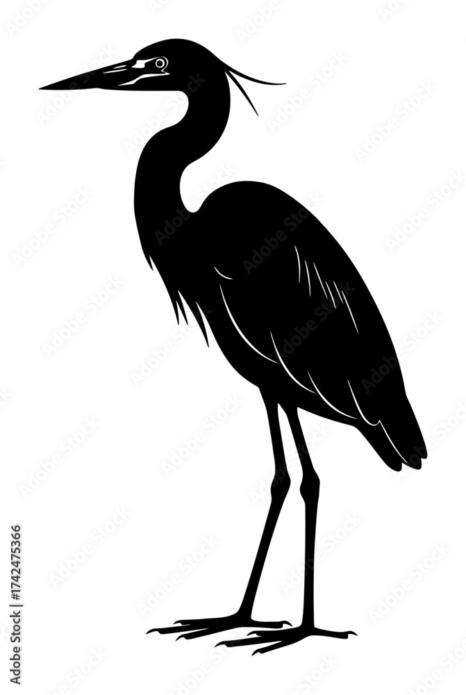 Fototapeta premium Heron Vector Art - Minimalist Black and White Bird Illustration