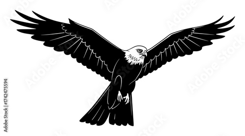 Kite Bird Minimalist Vector Drawing