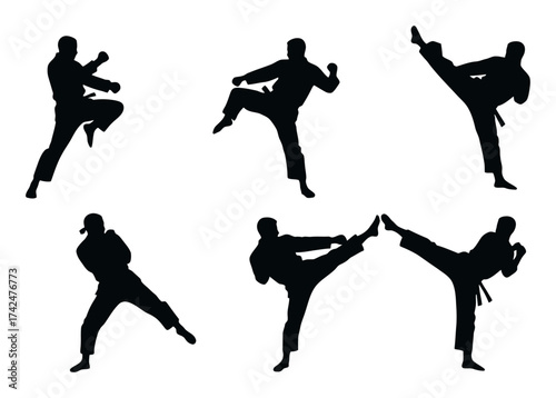 Martial Arts Kick Silhouette Vector - Clean Design